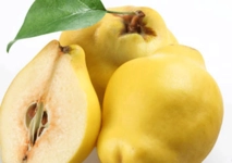 Ayva Diyeti Listesi ve Menüleri